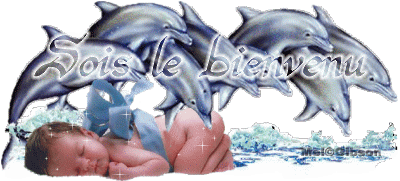 sois le bienvenu