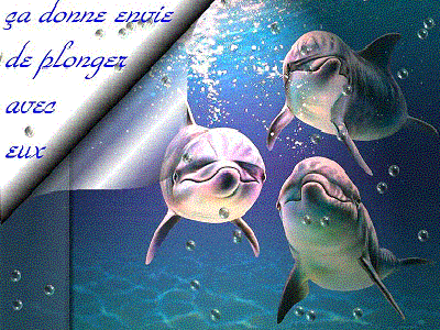 Bienvenue sur votre dauphin bleu